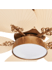 Beliani 2-tlg Deckenventilator mit Licht BORMEJO in Gold/Beige