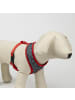 Disney Minnie Mouse Disney Minnie Premium Hundegeschirr S/M Hunde Brustgeschirr in Rot