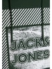 Jack & Jones Hoodie 'Stein' in dunkelgrün