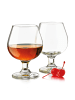Libbey Brandy EMBASSY 12er- Set, Ø 9 cm, 340 ml, H: 13 cm, Glas
