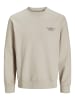Jack & Jones Sweatshirt in Silver Lining 1