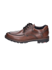 LLOYD Schnürschuhe in TOBACCO