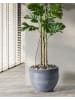 Beliani Outdoor Blumentopf ZAKROS in Grau - (W) 50 x (H) 39 x (L) 50 cm