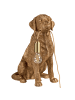 Beliani Tischleuchten MARLEY in Gold/Messing - (W) 26 x (H) 49 x (L) 34 cm
