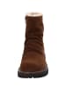 Palado Winterstiefeletten Palenny in Braun