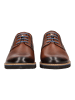 Pikolinos Halbschuhe in Braun/Schwarz