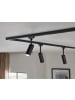 paulmann Bundle URail LED Schienenspot Tubo