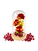 Wisam® Ewige Rose Glaskuppel LED Rot Deko 21,5 cm