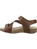 Josef Seibel Sandale Tonga 25 in beige