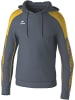 erima Trainingsjacke "Evo Star Kapuzensweat" in Grau