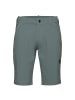 Mammut Shorts in Blaugrau