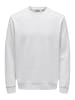 ONLY & SONS Sweatshirt Ceres in Hellgrau