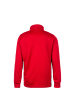 adidas Performance Trainingsshirt Regista 18 in rot / schwarz