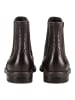 Paul Green Stiefelette in Espresso