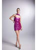 Holly Lolly Kleid in Rosa