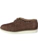 Allan K Sneaker für Damen in braun