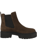 Steve Madden Chelsea Boots Glennis in dunkelbraun