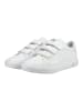 Lacoste Sneaker POWERCOURT in Weiß/Weiß