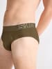 Sloggi Slip Briefs in BEECH