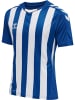 Hummel T-Shirt Hmlcore Herren in TRUE BLUE/WHITE