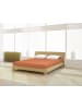 Mr.Sandman Spannbetttuch Jersey classic 180 - 200 x 200 cm in zimt