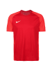 Nike Performance Fußballtrikot Strike II in rot / weiß