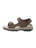 Skechers Trekkingsandalen in Braun