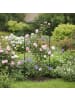 relaxdays 2 x Rankgitter "Vogel" in Schwarz - (B)50 x (H)116 cm