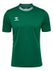 Hummel T-Shirt Playful Ss Erwachsene in EVERGREEN