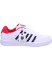K-SWISS Sneaker Court Palisades in Weiß