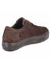 Paul Green Sneaker in braun