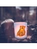Mr. & Mrs. Panda Outdoor Windlicht Affe ohne Spruch in Transparent