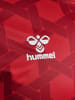 Hummel Hummel T-Shirt Wer 23/24 Fußball Erwachsene Schnelltrocknend in TRUE RED