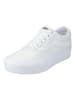 Vans Sneaker Ward in white