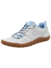 Camel Active Schnürschuhe in grau