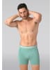 Muchachomalo 7er-Set: Boxershort in Mehrfarbig - für Herren