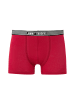 JIMMY SANDERS Boxer in Sax-Bordeaux-Schwarz