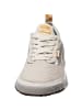 Vans Vans Turnschuhe in white