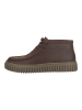 Clarks Stiefelette TORHILL HI in Dunkelbraun