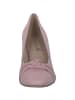 Caprice Pumps in CANDY SUEDE