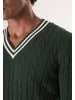 Felix Hardy Pullover in Grün