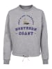 F4NT4STIC Oversize Sweatshirt Robbe Knut & Jan Hamburg in grau meliert