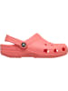 Crocs Clog Classic in rosa