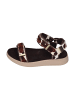 WODEN Sandalen LINE ANIMAL WL673 in bunt