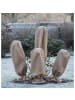 XClou Garden Wintervlies in Braun 0,8 x 0,75 m – Schutz vor Frost, Wind & Schnee in Braun