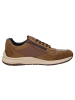 Sioux Sneaker Turibio-713-J in braun