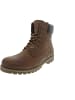 PANAMA JACK Schnürstiefel Braun
