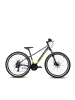 S'COOL Kinderfahrrad -  Xroc disc 26 Zoll 24-Gang | ab 10 Jahre - RH35