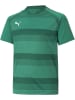 Puma Sportshirt "TeamVISION Jersey Jr" in Grün