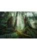 Ravensburger Ravensburger Puzzle 1.000 Teile Faszinierender Wald in bunt
